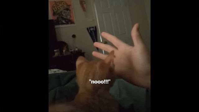 ПОПРОБУЙ НЕ СМЕЯТЬСЯ ЧАСТЬ1