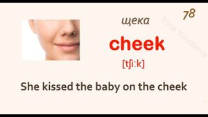 Английские слова. На каждый день. 180 английских слов. Английский для начинающих