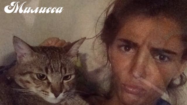 Что стало с Марией Лебедевой, которую бросил жених - ВИНОВНЫЙ в ДТП смотреть онлайн