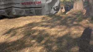Мангал Grillver Печенег+ кукурузные Брикеты Weber в действии