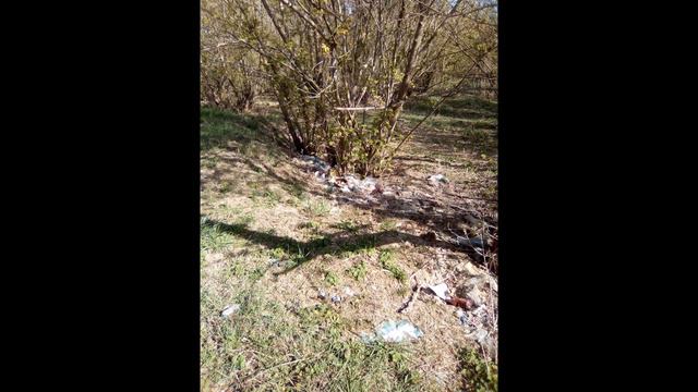 Сельские парки Крыма засыпаны мусором! с.Новогригорьевка, Нижнегорский район Крыма.