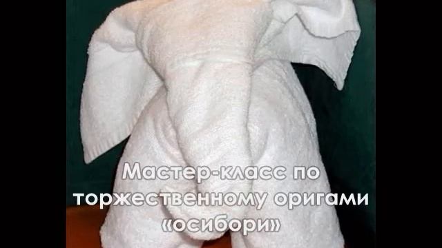 Ежегодный аниме-фестиваль "Цветущая сакура"