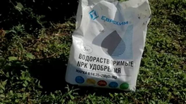 Готовим сани летом. Подготовка виноградника к зиме и сезону 2022. смотреть онлайн