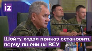 Шойгу дал приказ группировке “Восток” поражать оружие ВСУ, из которого бьют по зерновым / Известия