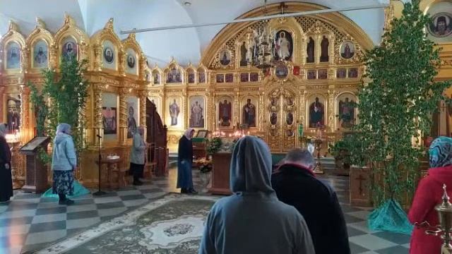 День Святого Духа. Вмч. Феодора Стратилата смотреть онлайн