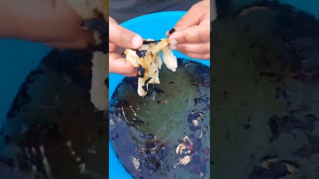 овощной шашлык на костре??#овощигриль #готовимдома #chorts #рекомендации смотреть онлайн