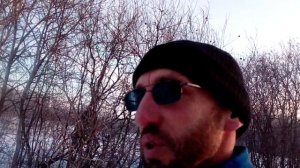 С ХАСКИ В ЗИМНЕМ ЛЕСУ