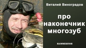 Наконечник многозуб для подводной охоты. Виталий Виноградов в магазине HAMMERFISH