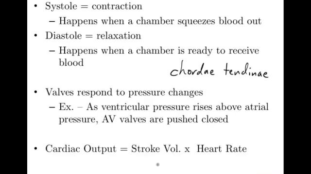 Anatomy and Physiology of The Heart смотреть онлайн