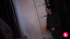 Показательное кормление слона