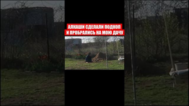 Алкаши сделали подкоп и залезли на мою дачу.СКРЫТАЯ камера