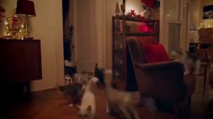 Новогодняя реклама "Dreamies" (2021-2022).