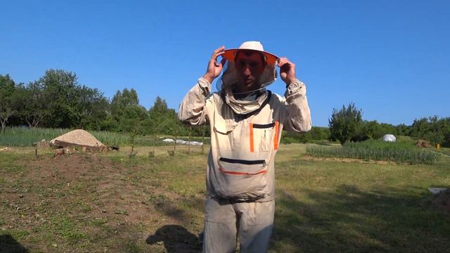 Купил пчелопакеты бакфаст! Куда пропал? Что случилось и что нового за месяц? смотреть онлайн