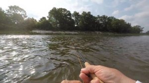 Fly Fishing Tactics for Smallmouth Bass: Sinking Lines for Smallmouth