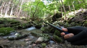 【渓流釣り新釣法】提灯ウキ毛鉤釣りは不人気エリアの魚も釣ってしまうのだ!!