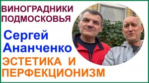 Виноградник Сергея Ананченко, город Александров 01.09.2022