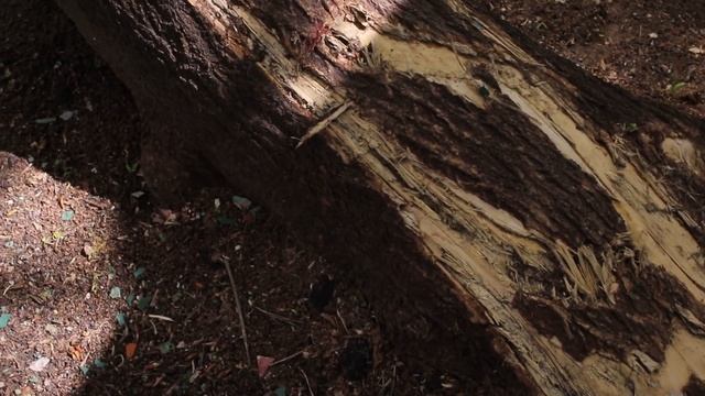 Стройка начинается с забора: ИНИОН и дома по реновации смотреть онлайн