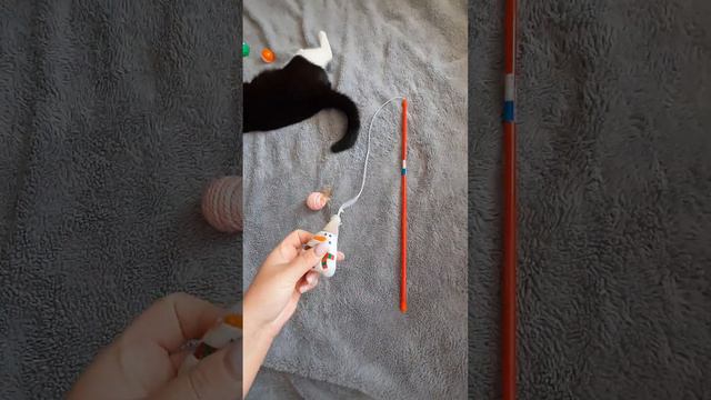 Обзор на игрушки для кошек #кошки #питомцы #котики #домашниеживотные #cat