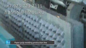 Роторная машина производства лотков для яиц