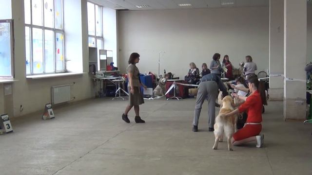 РРК-Весна 2013. Рабочий класс.