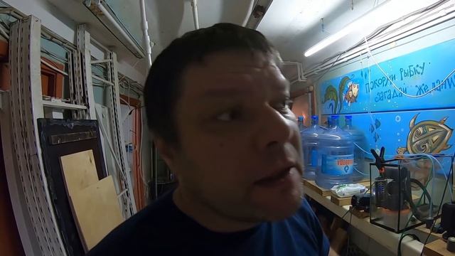 Красный неон. 5 День. Личинка. Взгляд в будущее смотреть онлайн