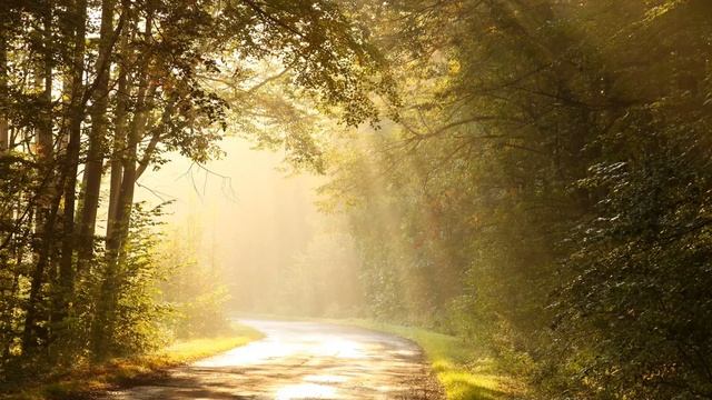 Music Therapy: Progressive Muscle Relaxation Unguided Meditation