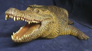 Крокодил из дерева (липа) 2 часть.