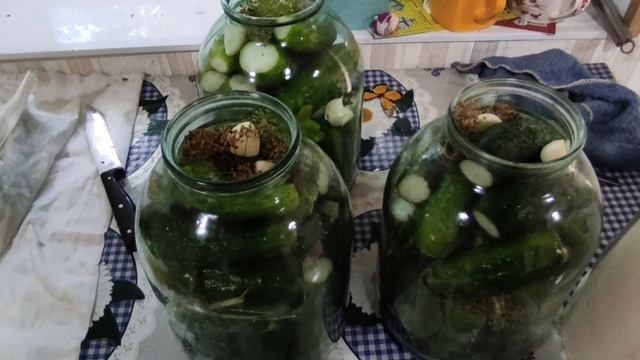 Рецепт квашеных ( кислых ) хрустящих огурцов
