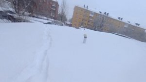 ? смешные моменты на гаражах?