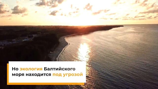 Балтийское море 2020 - на грани экологической КАТАСТРОФЫ! Самые интересные тайны и факты смотреть онлайн