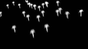 Как появился интернет, история интернета