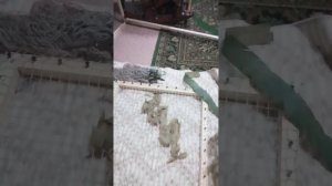 изготовление нашлемника