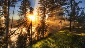 Я пришёл к тебе с приветом Афанасий Фет  читает Павел Беседин