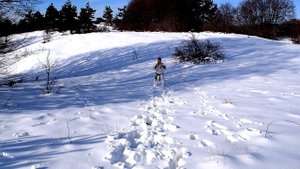 Снежный человек  | Как заниматься каратэ босиком на снегу | Snowman! Barefoot in the snow