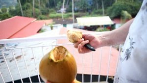 ГОА Индия куда поехать что посмотреть