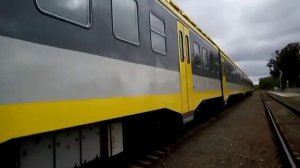 ДПМ 001 дизель-поезд