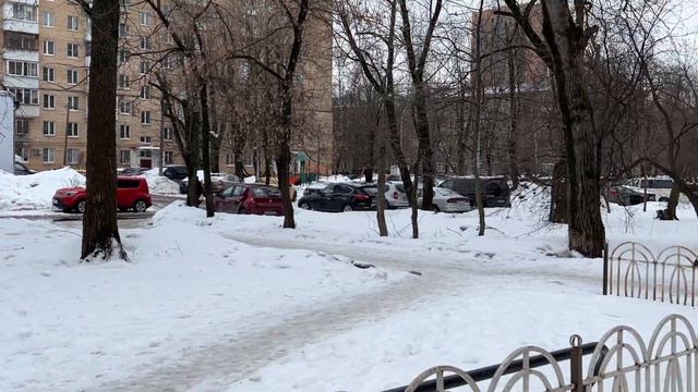 3 владимировская 4