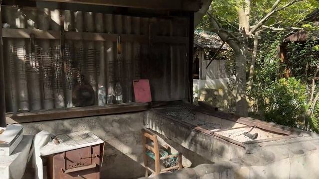 Вау! +28 в Грузии 28-го октября. Мачахела - выбрались на природу из Батуми смотреть онлайн