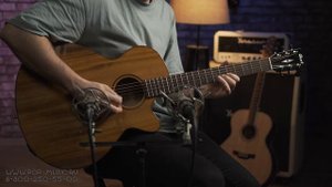 Cort SFX Myrtlewood NA