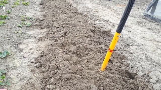 Проволочник. Закатаем рукава! смотреть онлайн