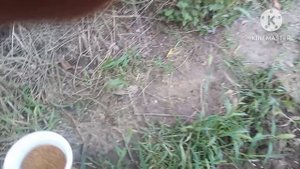 как улучшить плодородие почвы