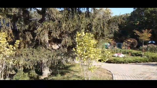 Фельдман Экопарк Харьков, Украина. Обзор зоопарка в Харькове смотреть онлайн