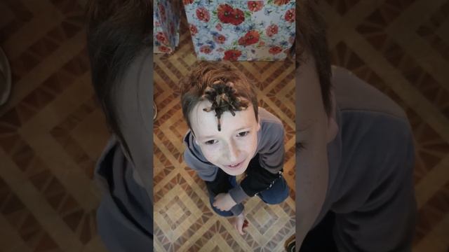 Арахнофобам не смотреть