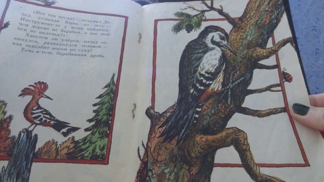 Читаю детям. В. Бианки "Кто чем поет?" смотреть онлайн