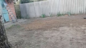 Планировка внутреннего дворика