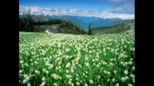 МЕДИТАЦИЯ ПО ЧАКРАМ. МУЛАДАРА. САХАДЖА ЙОГА