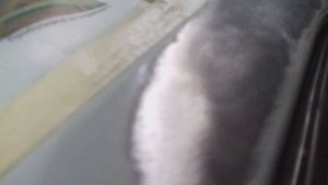 Как вытянуть крышу автомобиля с незначительными повреждениями.Ремонт и вытягивание вмятин.