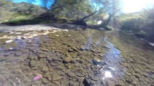 За хариусом на Чарыш