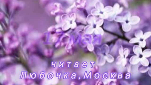 17 Мая - Счастливая медитация смотреть онлайн