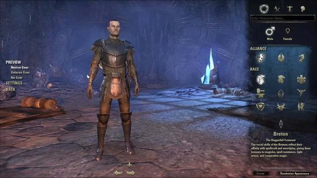Thoughts on The Elder Scrolls Online part 1